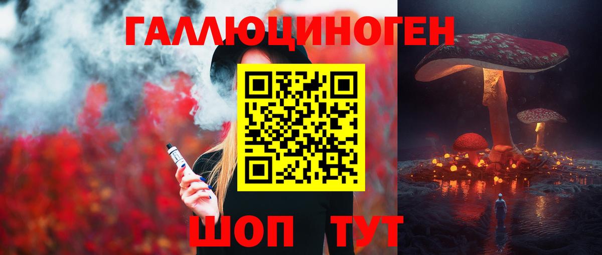 Ахтубинск  как найти   Псилоцибиновые грибы Psilocybe  Вход с VPN  Галлюциногенные грибы прущие грибы 