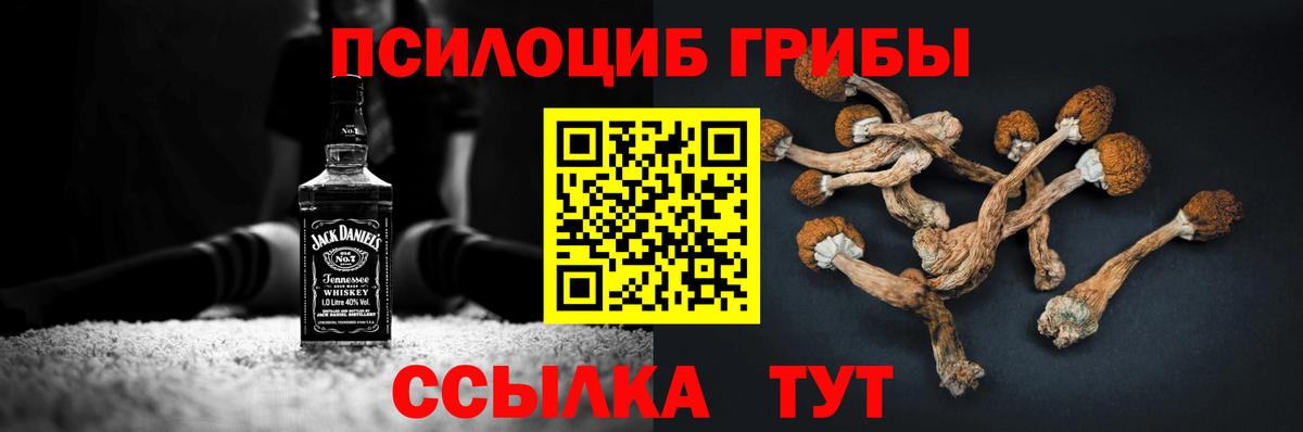 Псилоцибиновые грибы ЛСД Ахтубинск